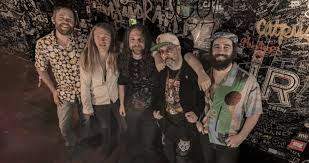 Bearly Dead – A Grateful Dead Tribute