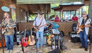 The Electric Frogs Live at The Handlebar
